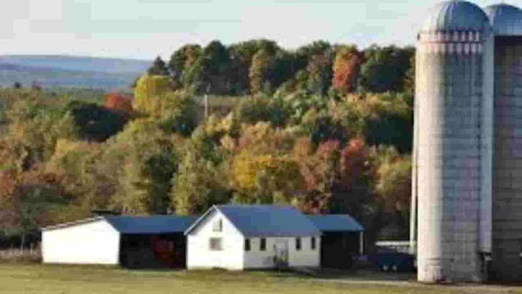 Peru city NY
